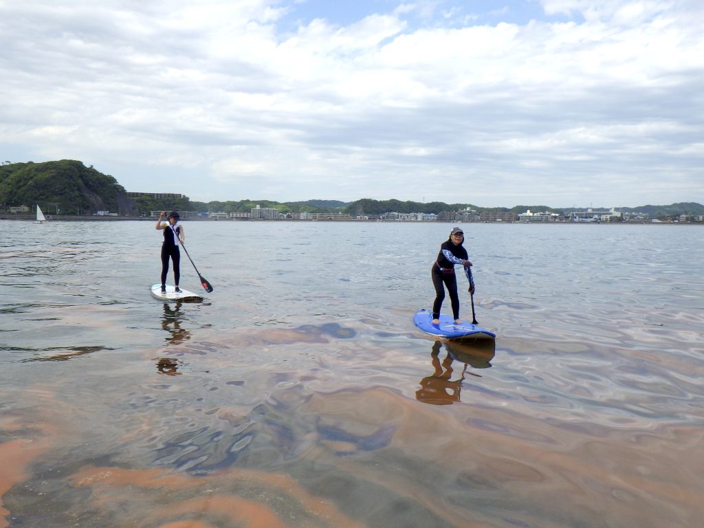 湾の外も赤潮
