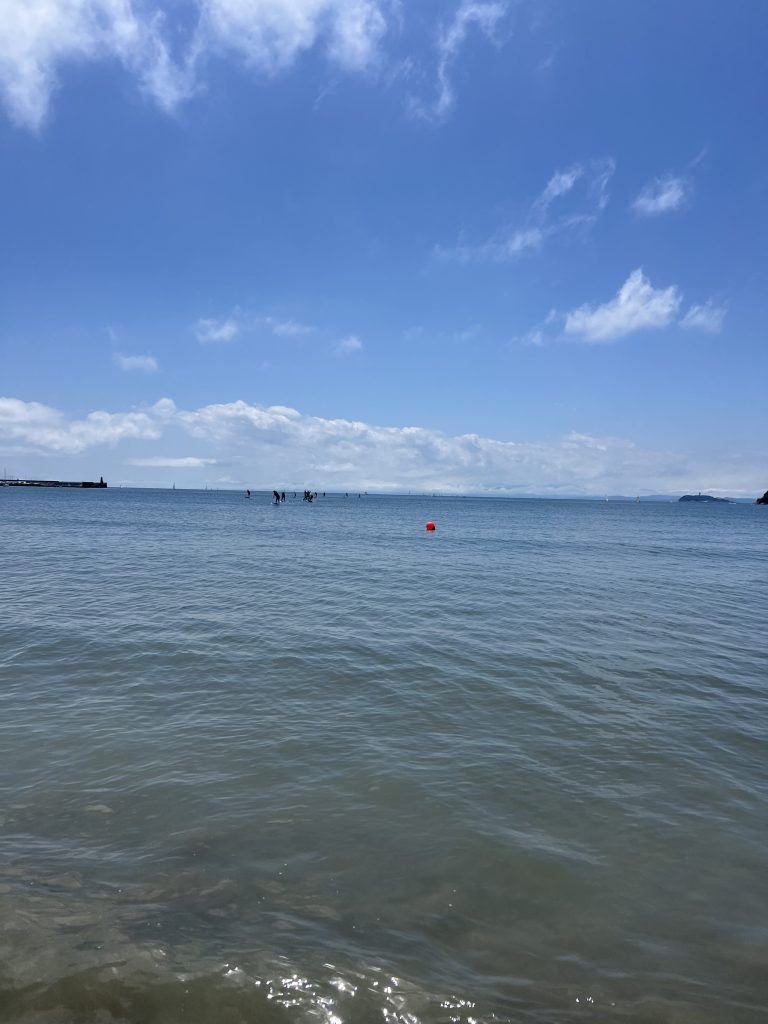 お天気よい逗子サップ