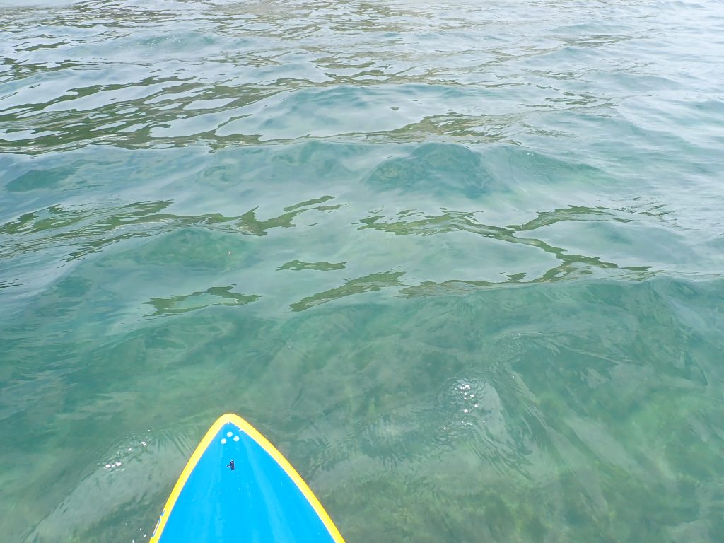 綺麗な海逗子