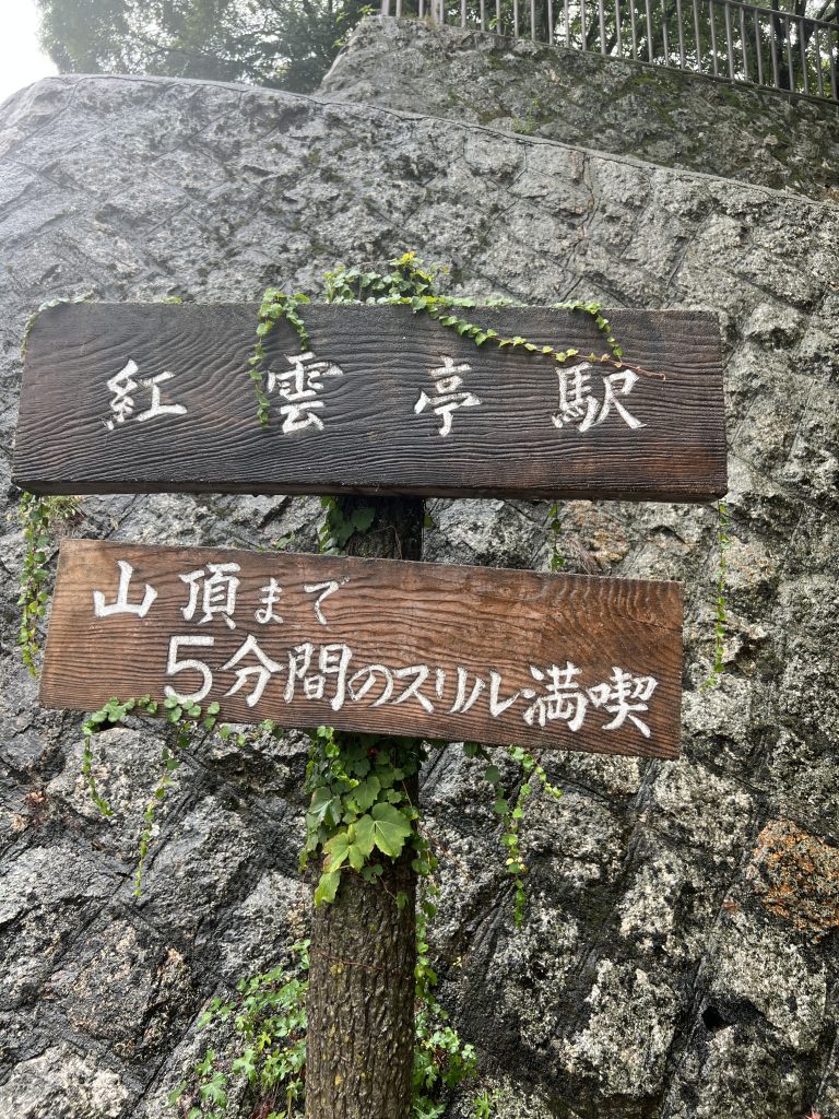 小豆島サップ旅行の様子逗子フェザーファクトリー